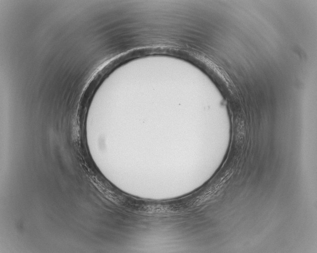 X0000115360927200912011110