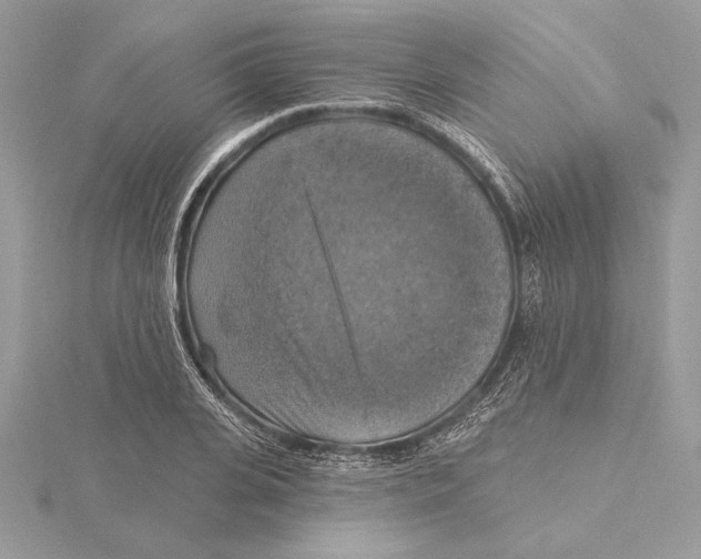 X0000115360935200912011110