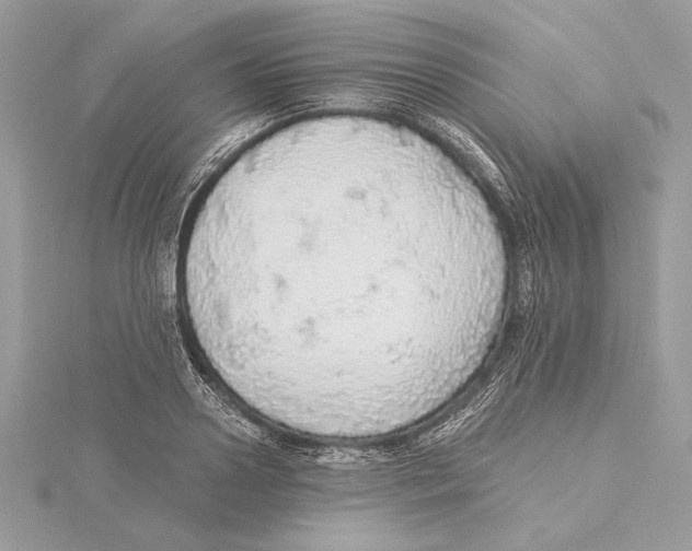 X0000115360938200912011110