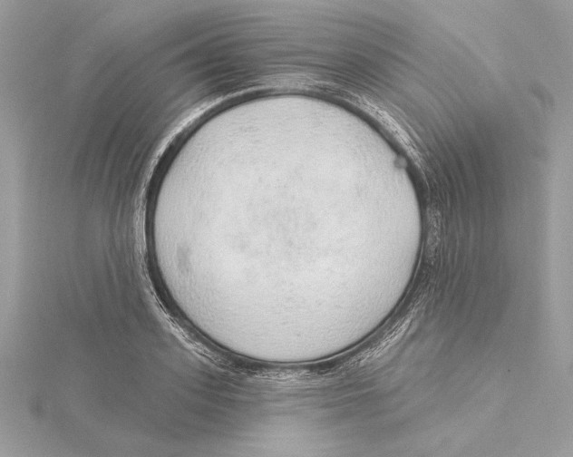 X0000115360939200912011110