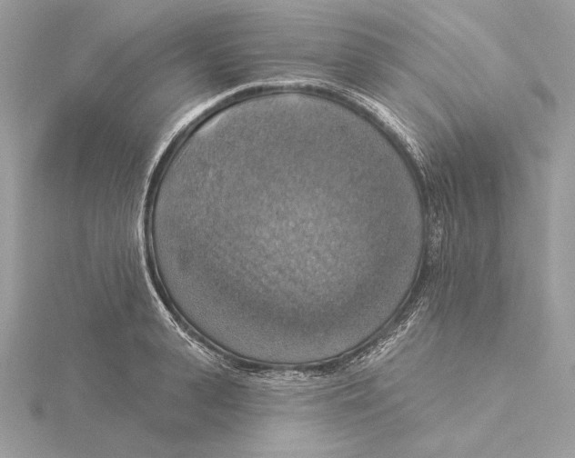 X0000115360943200912011110