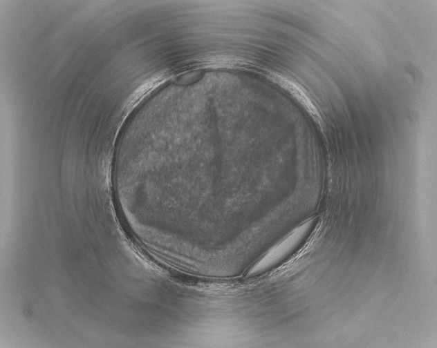 X0000115360946200912011110