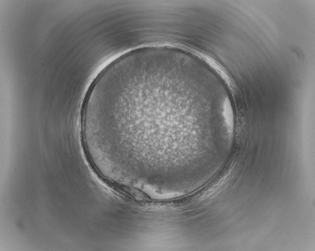 X0000115360951200912011110