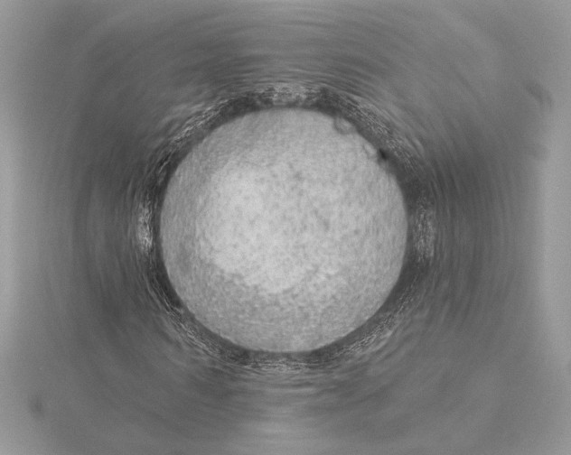 X0000115360962200912011110