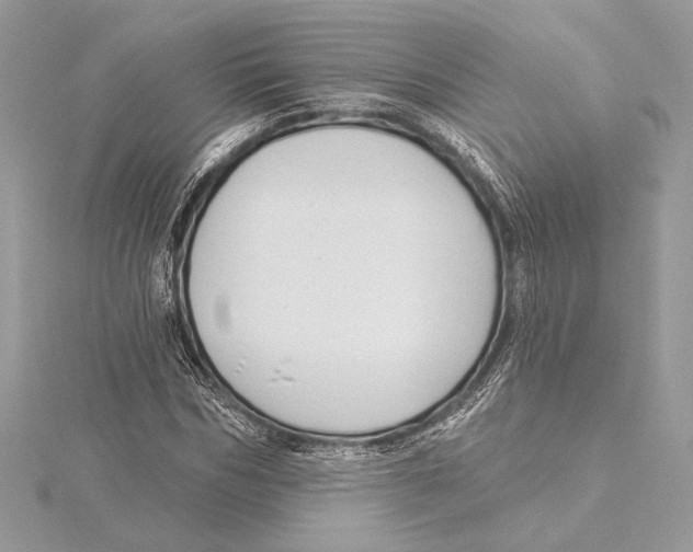 X0000115360970200912011110
