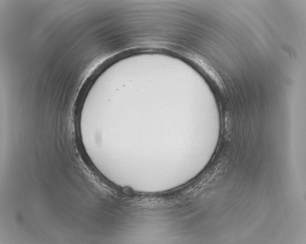 X0000115360972200912011109