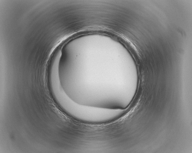 X0000115360973200912011109