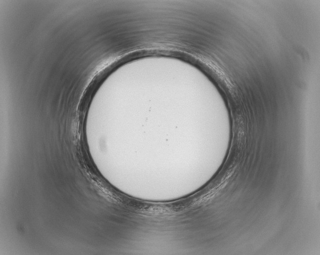 X0000115360974200912011109