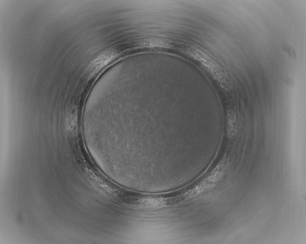 X0000115360977200912011109