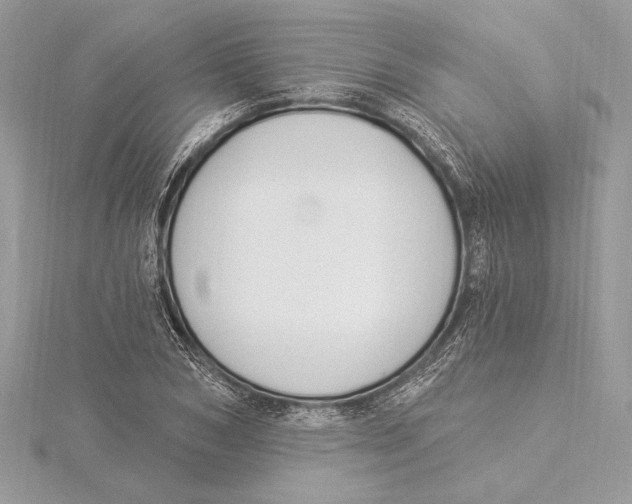 X0000115360978200912011109