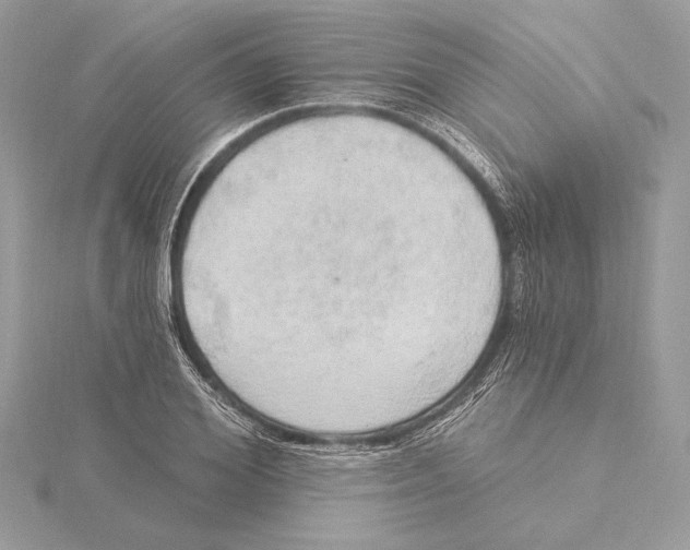 X0000115360980200912011109