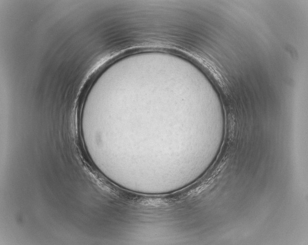 X0000115360982200912011109