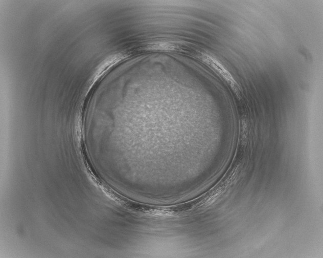 X0000115360994200912011109