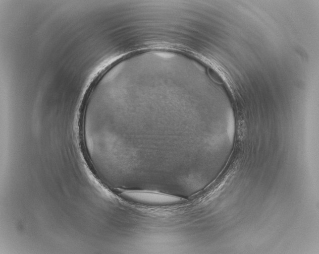 X0000115360995200912011109