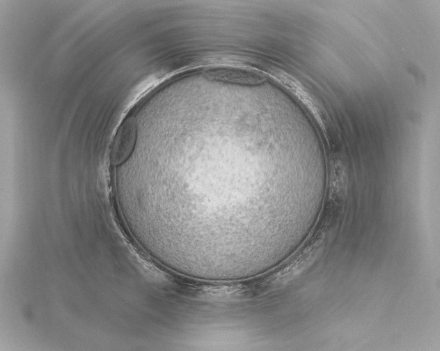 X0000115360997200912011109