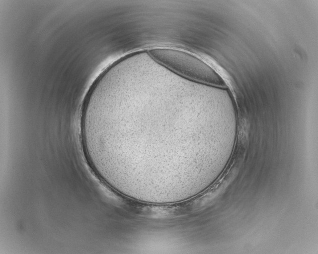 X0000115361005200912011109