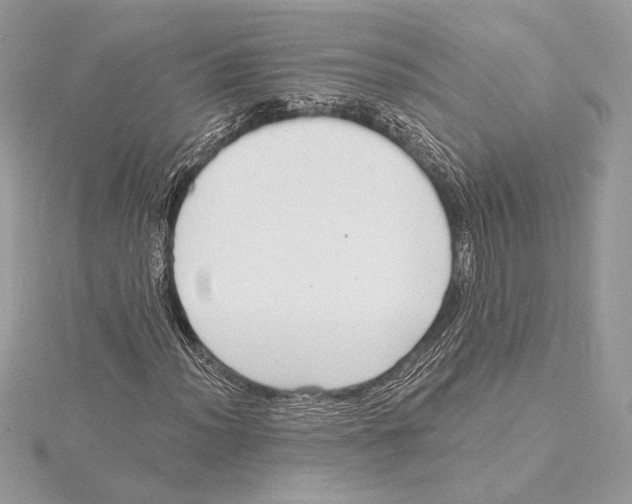 X0000115361012200912011108