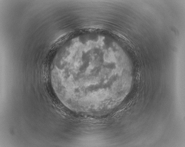 X0000115361014200912011108
