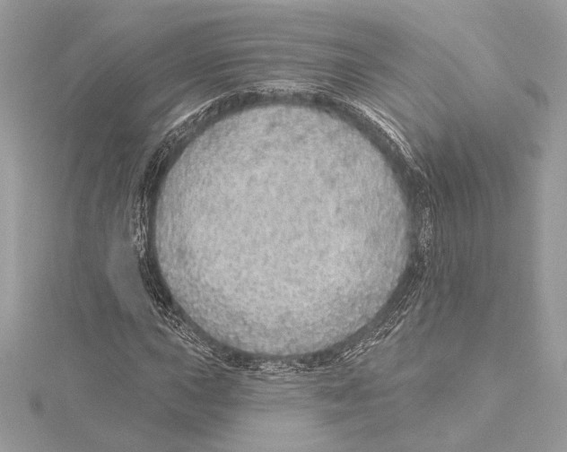 X0000115361015200912011109