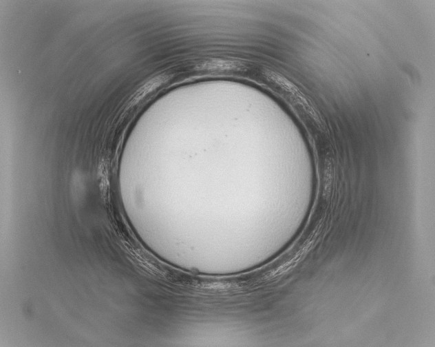 X0000115361017200912011109