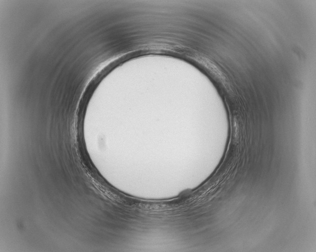 X0000115361020200912011109