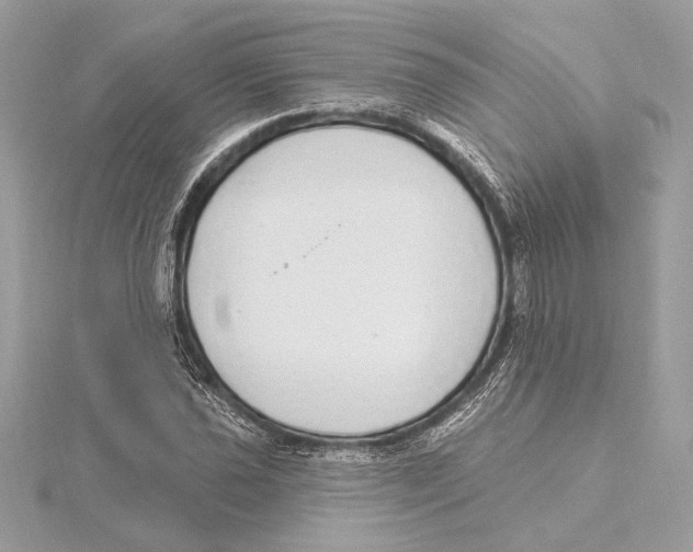 X0000115361021200912011109