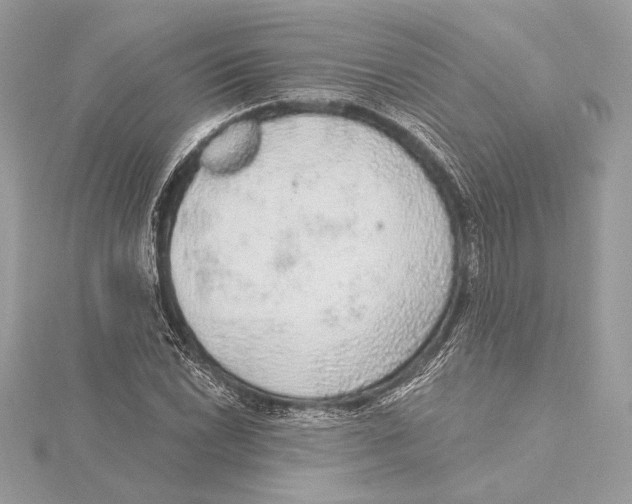 X0000115361022200912011109