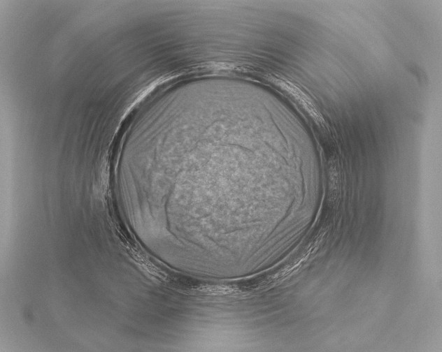 X0000115361023200912011109