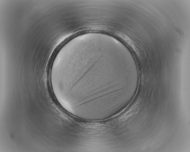 X0000115361024200912011109