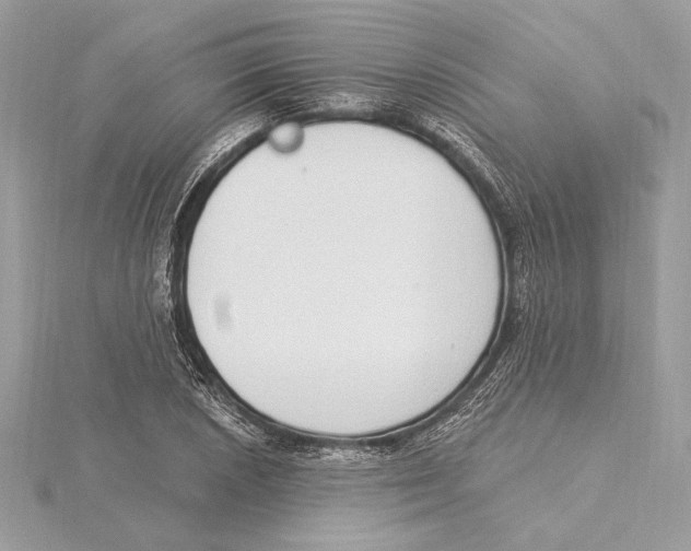X0000115361026200912011109