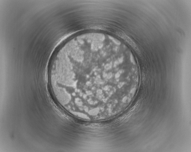 X0000115361028200912011109