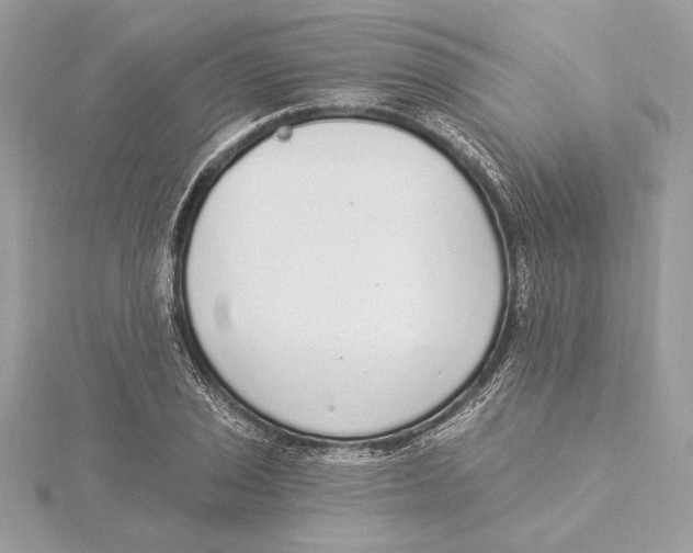 X0000115361029200912011109