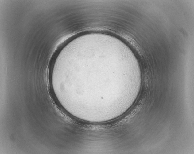 X0000115361030200912011109