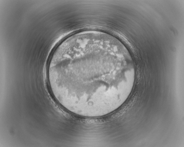 X0000115361032200912011109