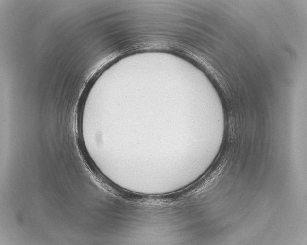 X0000115361034200912011109
