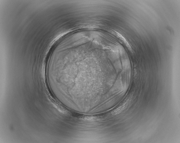 X0000115361035200912011109