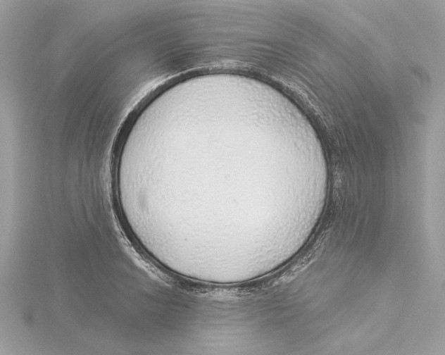 X0000115361038200912011109