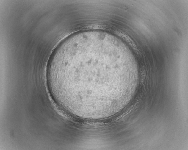 X0000115361039200912011109