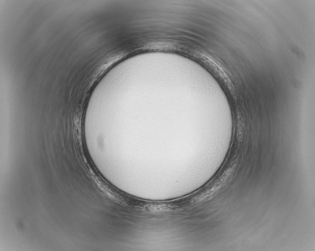 X0000115361041200912011109
