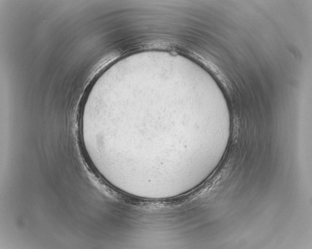 X0000115361042200912011109