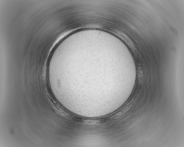 X0000115361044200912011109