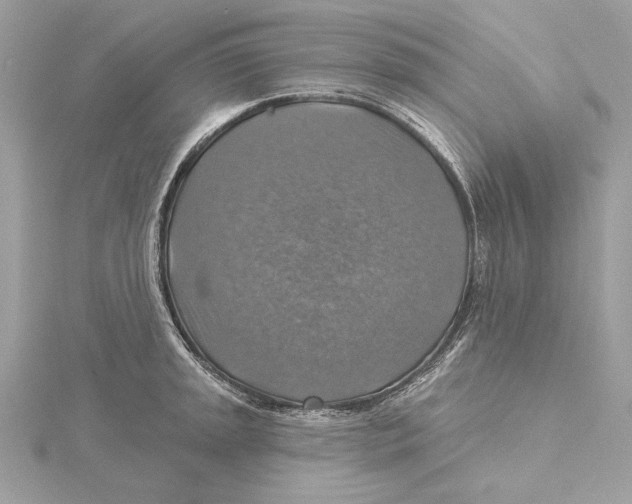 X0000115361045200912011109