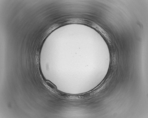 X0000115361049200912011109