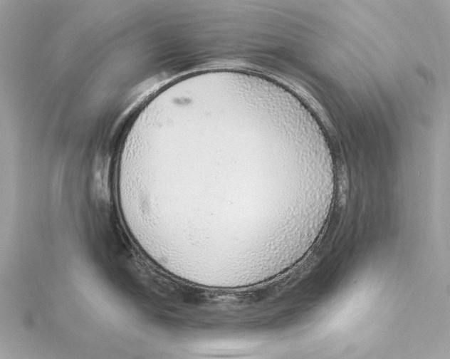 X0000115361054200912011109