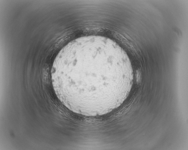 X0000115361059200912011108