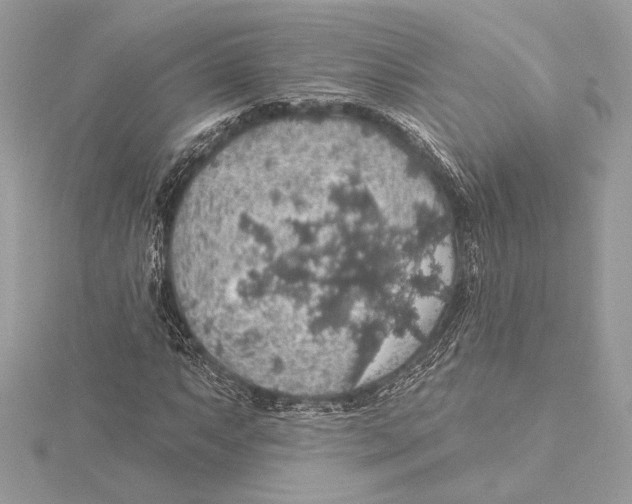 X0000115361063200912011108