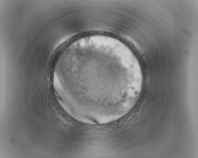 X0000115361064200912011108