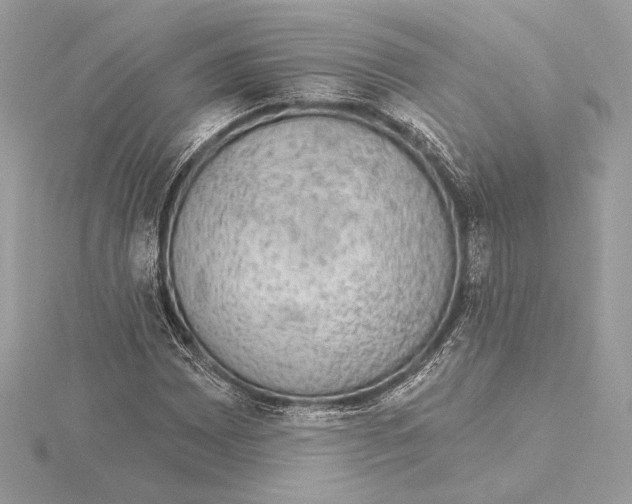 X0000115361065200912011108