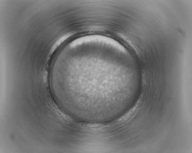 X0000115361066200912011108