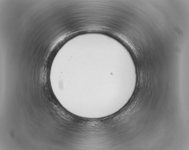 X0000115361067200912011108